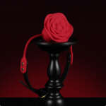 Mouth Ball Vibration Nipple Clamps Passion Props – Image 2